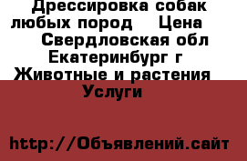 Дрессировка собак любых пород  › Цена ­ 500 - Свердловская обл., Екатеринбург г. Животные и растения » Услуги   